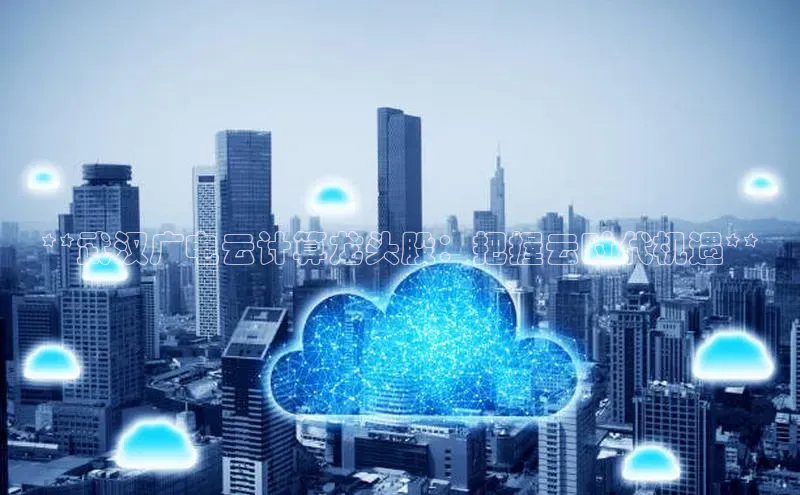 凯捷中海达**武汉广电云计算龙头股：把握云时代机遇**