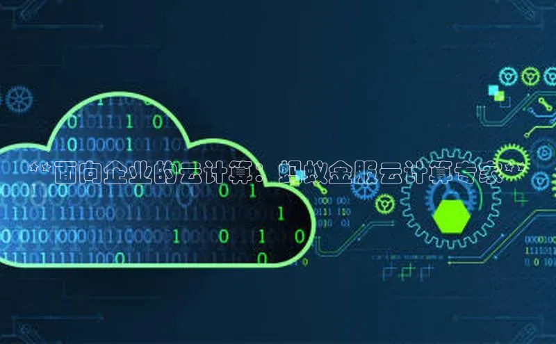 意昂4凯捷体育江铃新能源**面向企业的云计算：蚂蚁金服云计算专家**