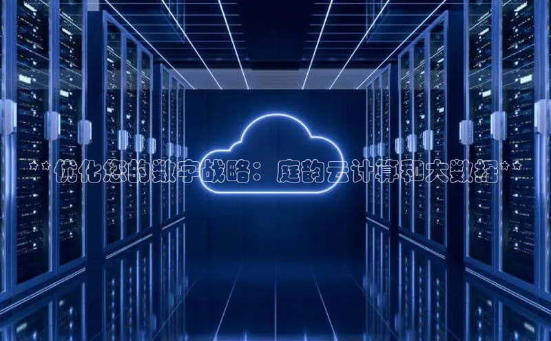 意昂4凯捷娱乐小红书**优化您的数字战略：庭韵云计算和大数据**