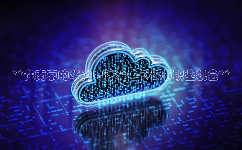 意昂4凯捷体育度小满支付**在南京的华为云计算中心谋求职业机会**