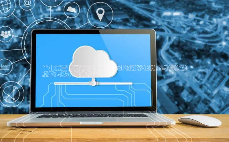 凯捷娱乐阿里尔公司