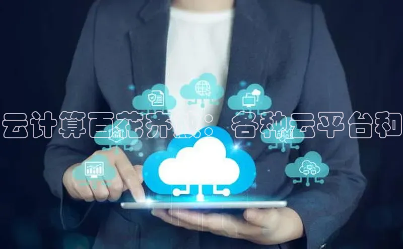意昂4凯捷娱乐华策影视云计算百花齐放：各种云平台和