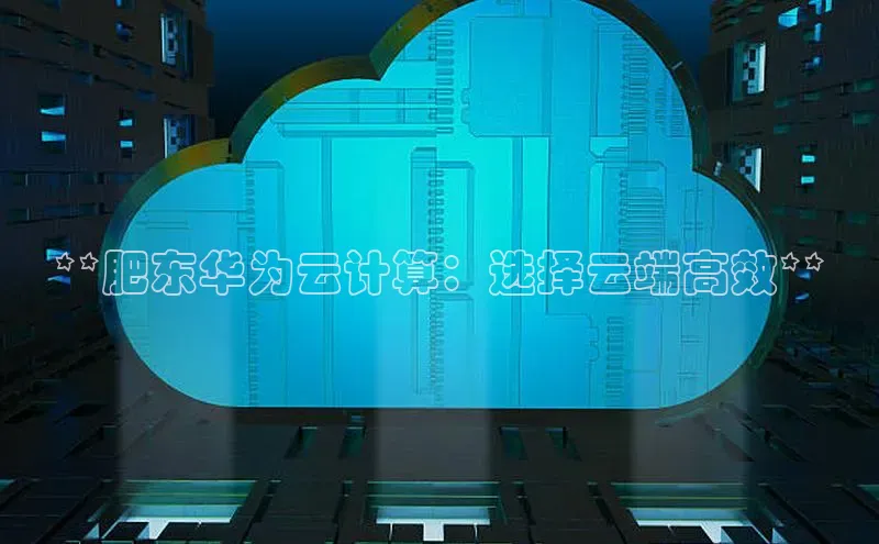 意昂4凯捷娱乐挪威主权基金**肥东华为云计算：选择云端高效**