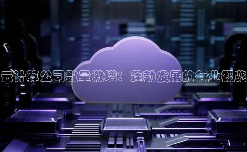 凯捷体育华扬联众云计算公司数量激增：蓬勃发展的行业概览