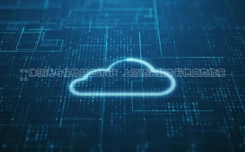 意昂4凯捷体育百度学术**体验无与伦比的云计算：上海顶尖服务器供应商指南
**