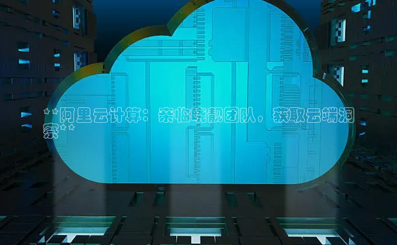意昂4凯捷宇信科技**阿里云计算：亲临晓靓团队，获取云端洞
察**