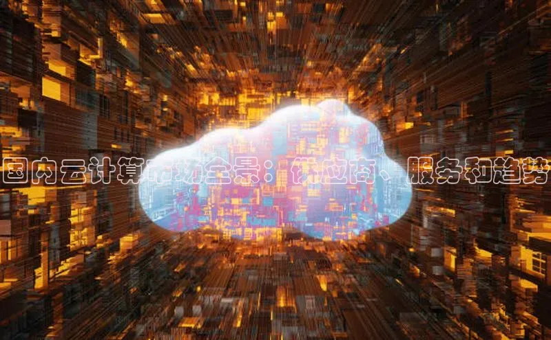 意昂4凯捷体育百度翻译App国内云计算市场全景：供应商、服务和趋势